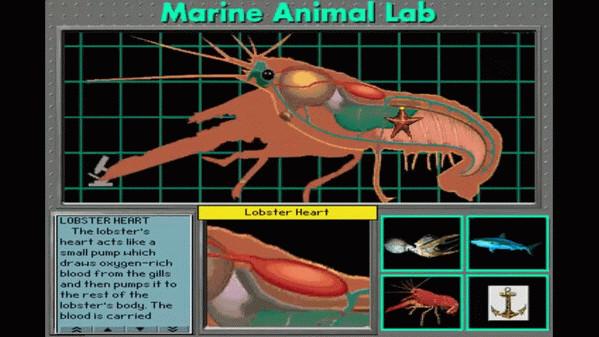Игра Undersea Adventure, скриншот