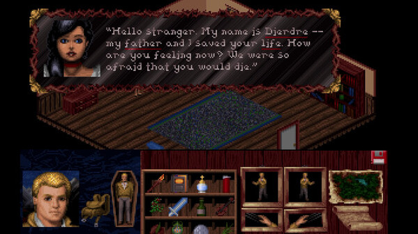 Игра Veil of Darkness, скриншот