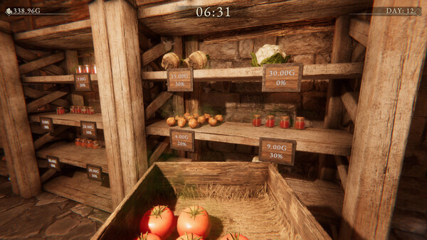 Игра Village Merchant, скриншот
