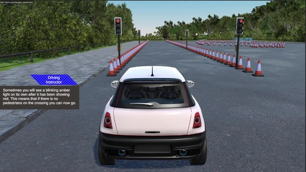 Игра Virtual Driving School, скриншот