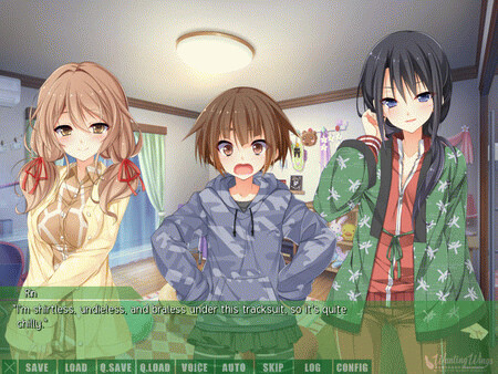 Игра Wanting Wings, скриншот
