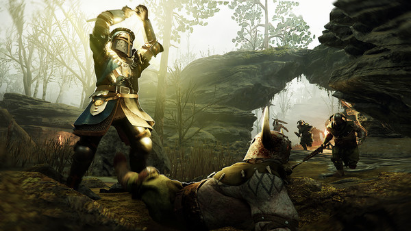 Игра Warhammer: Vermintide 2 - Grail Knight Career, скриншот