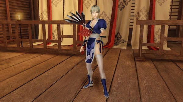 Игра WARRIORS ALL-STARS: Exclusive Costume Set, скриншот