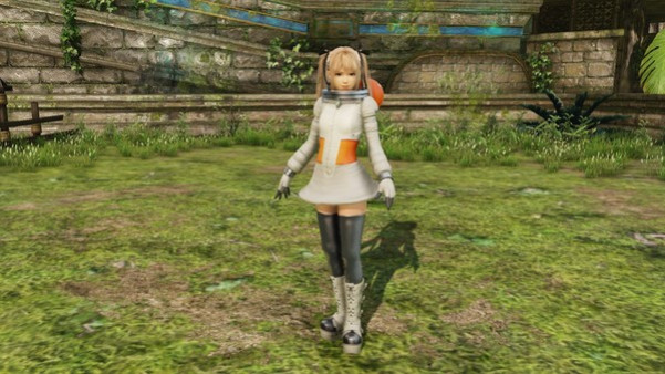 Игра WARRIORS ALL-STARS: Exclusive Costume Set, скриншот