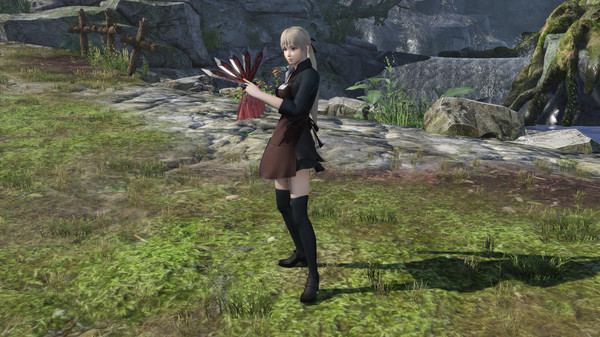 Игра WARRIORS OROCHI 4/無双OROCHI３- Bonus Costume for Wang Yuanji, скриншот