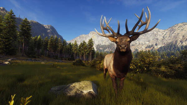Игра Way of the Hunter, скриншот