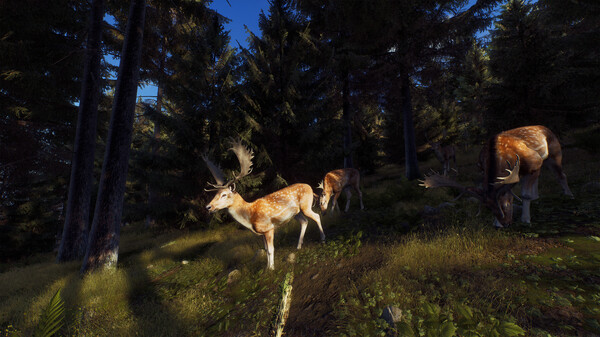 Игра Way of the Hunter, скриншот