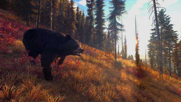 Игра Way of the Hunter, скриншот
