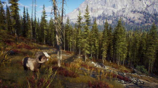Игра Way of the Hunter, скриншот