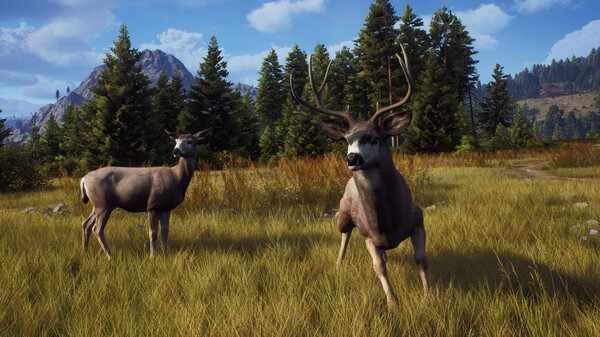 Игра Way of the Hunter, скриншот