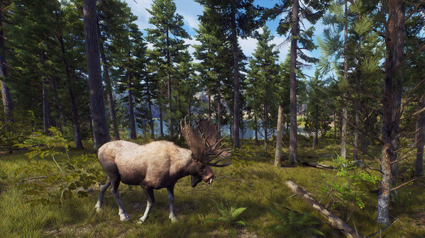 Игра Way of the Hunter, скриншот
