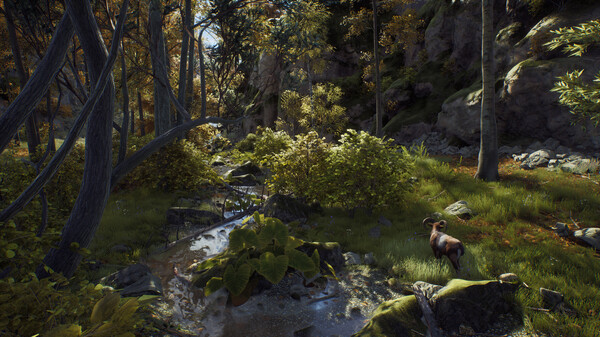 Игра Way of the Hunter, скриншот