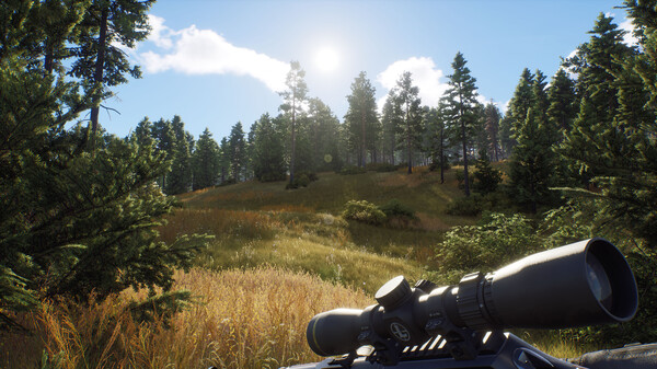 Игра Way of the Hunter, скриншот