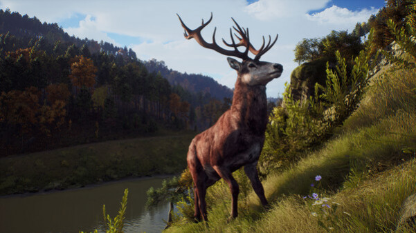 Игра Way of the Hunter, скриншот