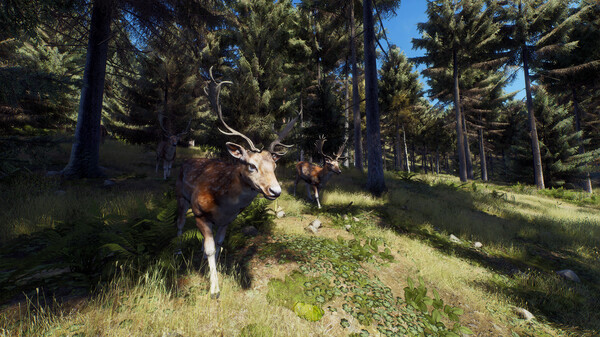 Игра Way of the Hunter, скриншот