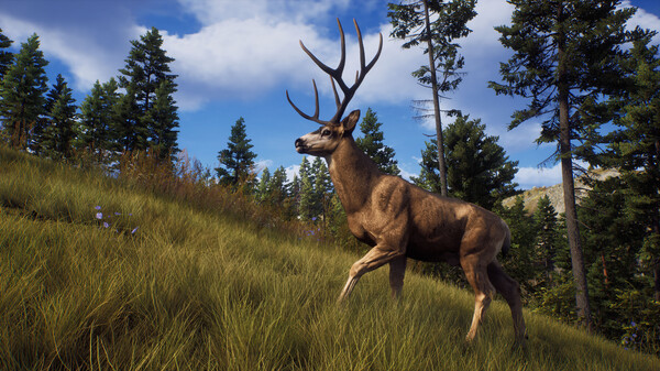 Игра Way of the Hunter, скриншот