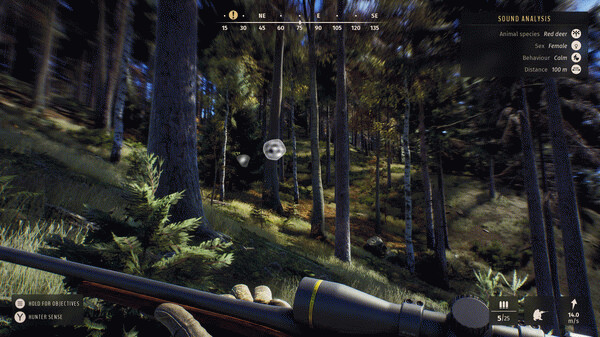 Игра Way of the Hunter, скриншот
