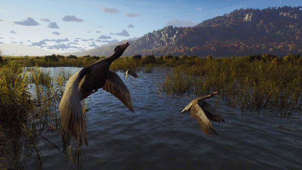 Игра Way of the Hunter, скриншот