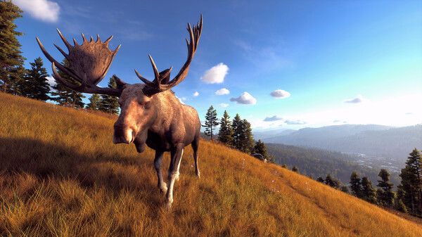 Игра Way of the Hunter, скриншот
