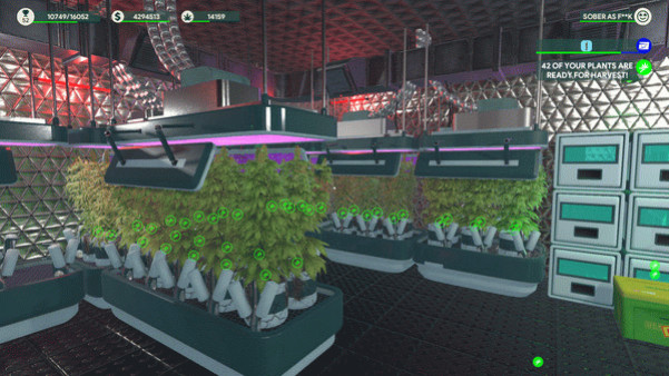 Игра Weed Shop 3, скриншот