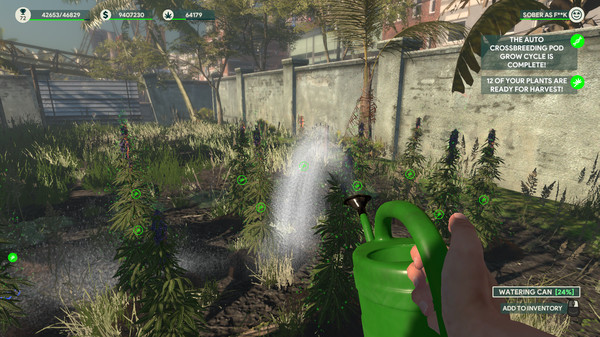 Игра Weed Shop 3, скриншот