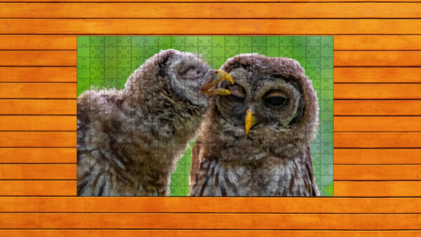 Игра Whispers of Wings Jigsaw Puzzles - Expansion Pack 4, скриншот