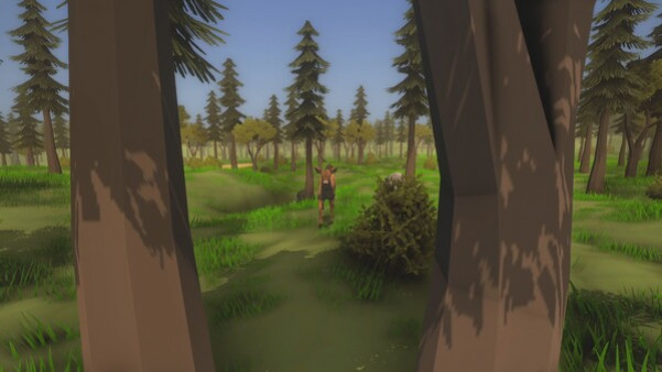 Игра Wild Frontier, скриншот