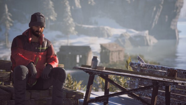 Игра Winter Survival, скриншот