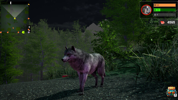 Игра Wolf Simulator: Silent Paws, скриншот