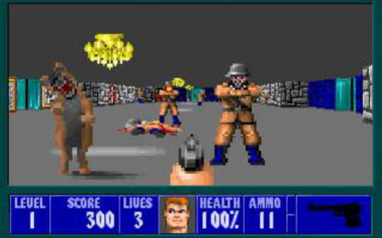Игра Wolfenstein 3D, скриншот