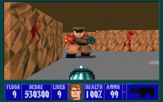 Игра Wolfenstein 3D, скриншот