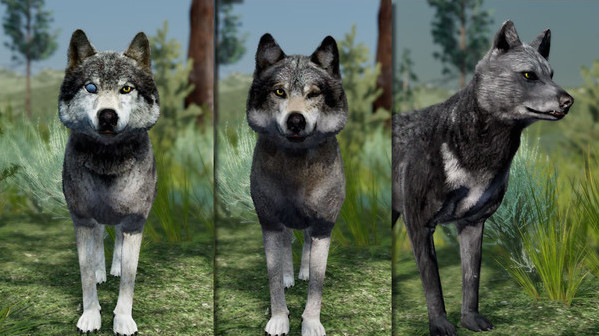 Игра WolfQuest Anniversary - Building Character Pack, скриншот