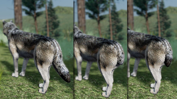 Игра WolfQuest Anniversary - Building Character Pack, скриншот