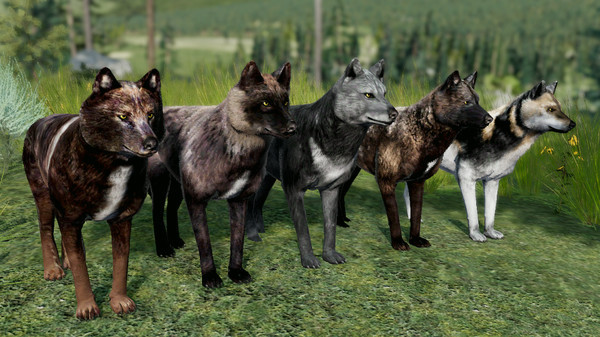 Игра WolfQuest Anniversary - Building Character Pack, скриншот
