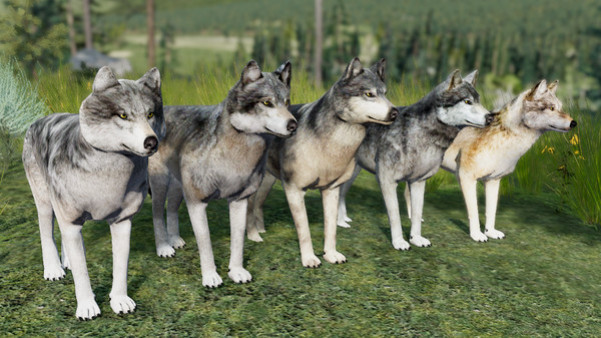 Игра WolfQuest Anniversary - Building Character Pack, скриншот