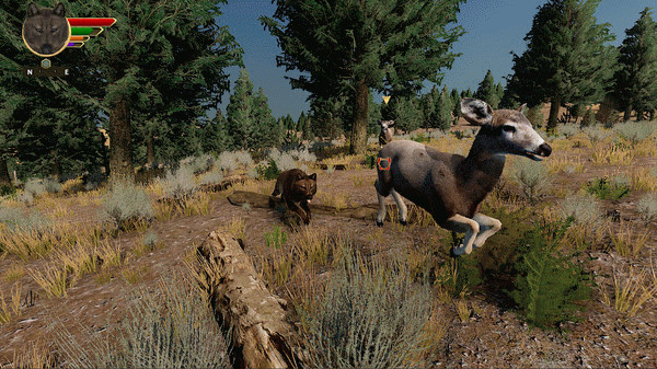 Игра WolfQuest: Anniversary Edition, скриншот