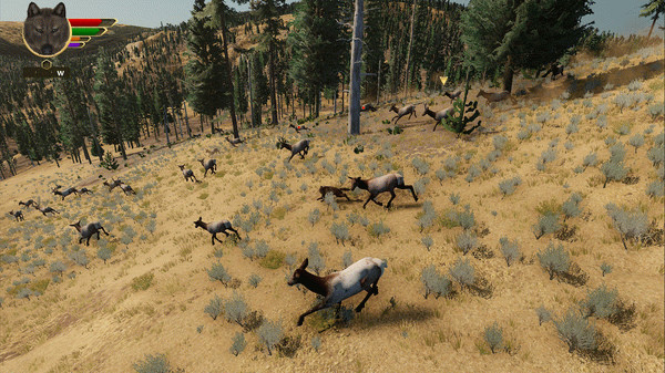 Игра WolfQuest: Anniversary Edition, скриншот