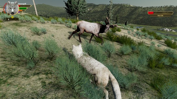 Игра WolfQuest: Anniversary Edition, скриншот