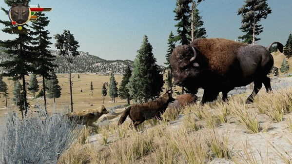 Игра WolfQuest: Anniversary Edition, скриншот