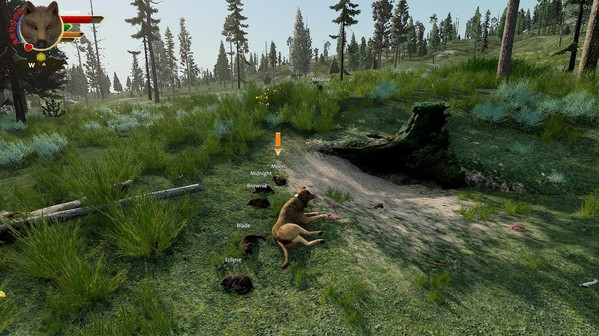 Игра WolfQuest: Anniversary Edition, скриншот