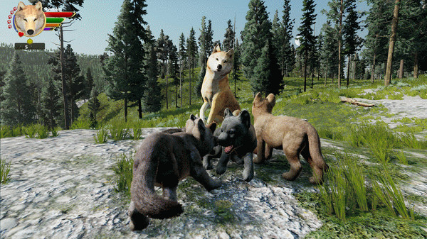 Игра WolfQuest: Anniversary Edition, скриншот