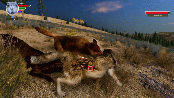 Игра WolfQuest: Anniversary Edition, скриншот