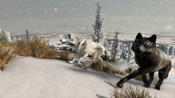 Игра WolfQuest: Anniversary Edition, скриншот
