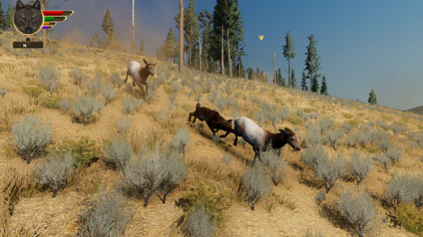 Игра WolfQuest: Anniversary Edition, скриншот
