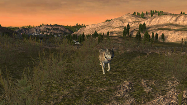 Игра WolfQuest: Classic, скриншот