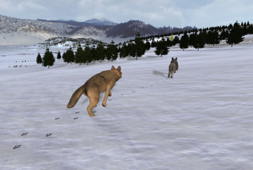 Игра WolfQuest: Classic, скриншот