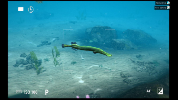 Игра World of Diving, скриншот