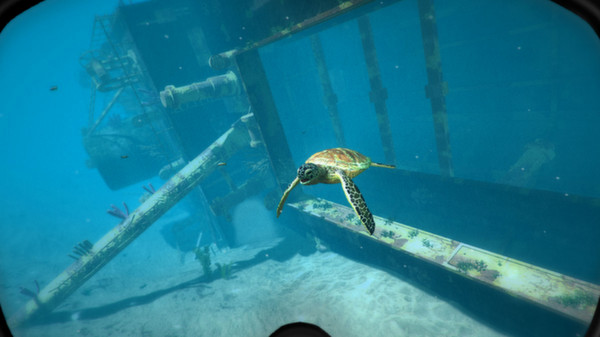 Игра World of Diving, скриншот