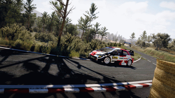 Игра WRC 10 FIA World Rally Championship, скриншот