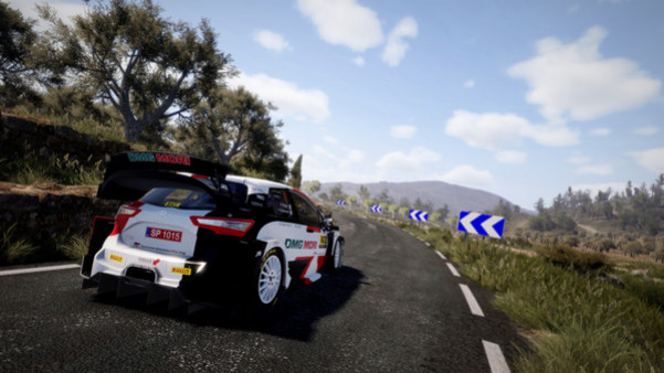 Игра WRC 10 FIA World Rally Championship, скриншот